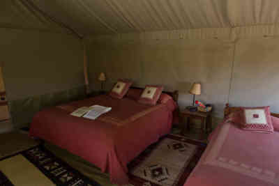 📷 Porini Amboseli Camp Tent