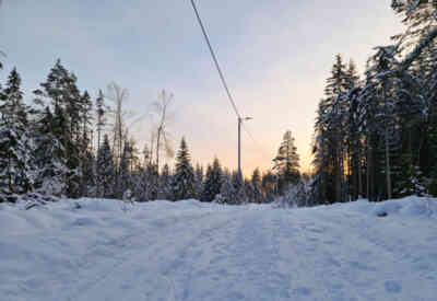 📷 winter walk