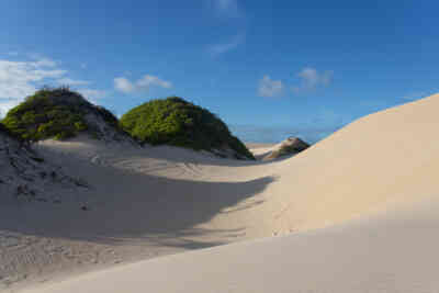📷 sand dunes