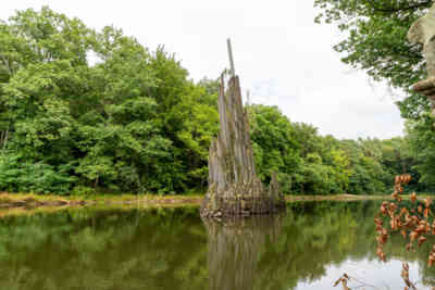 📷 Rhododendronpark