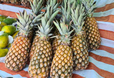 📷 pineapple