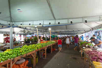 📷 Feira