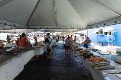 📷 Feira