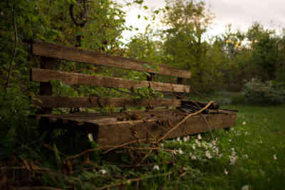 📷 old bench