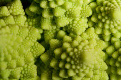 📷 Romanesco Broccoli