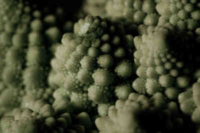 📷 Romanesco Broccoli