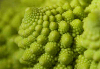 📷 Romanesco Broccoli